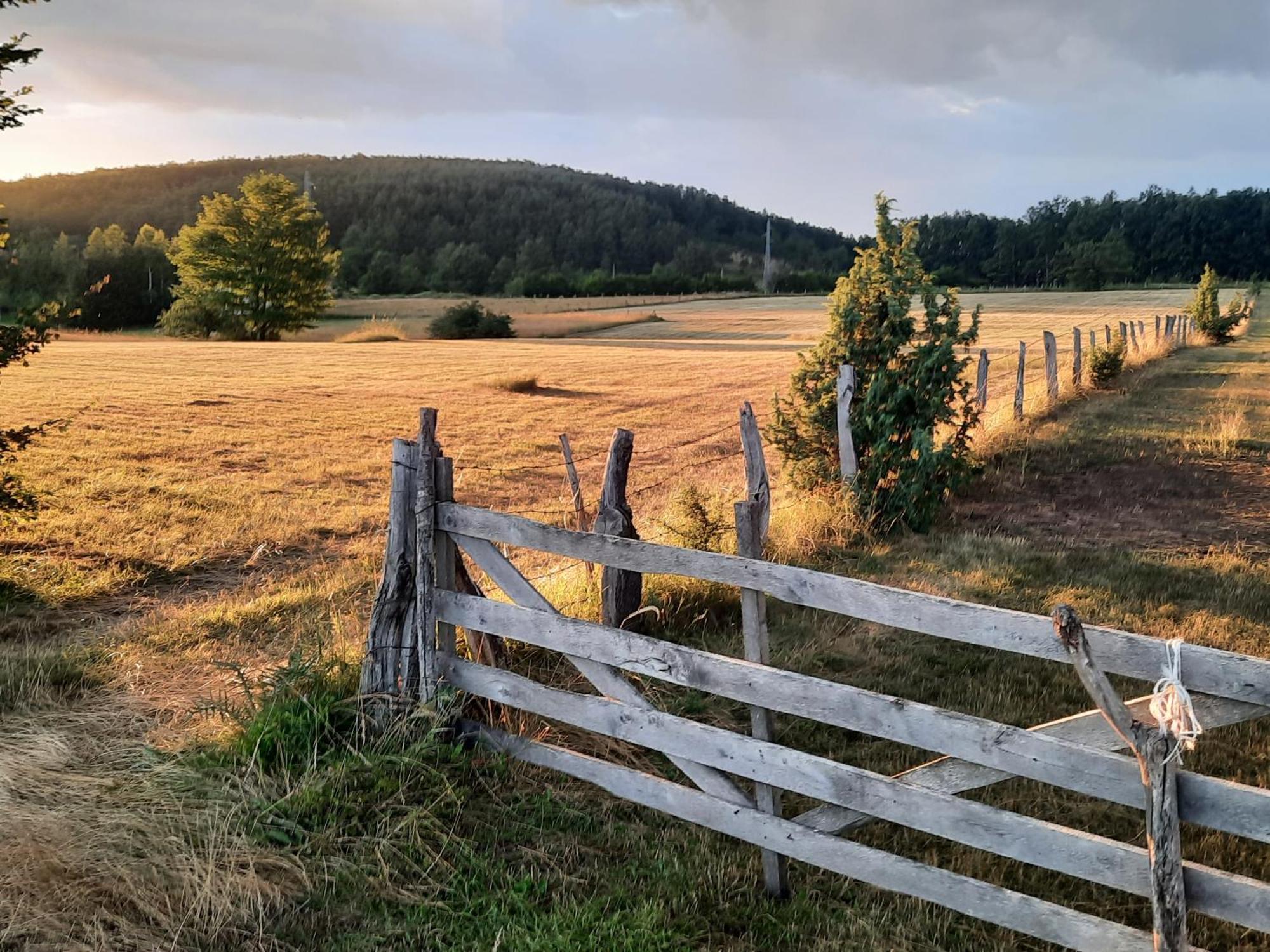 Seoski Turizam Melovic Rozanstvo Bagian luar foto